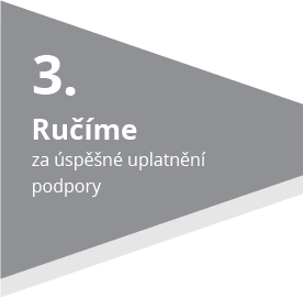 Ručíme